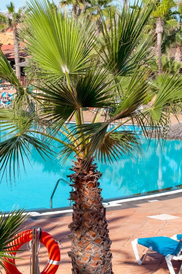 Fuerteventura Apartments Tamarindo 1 Corralejo Zewnętrze zdjęcie